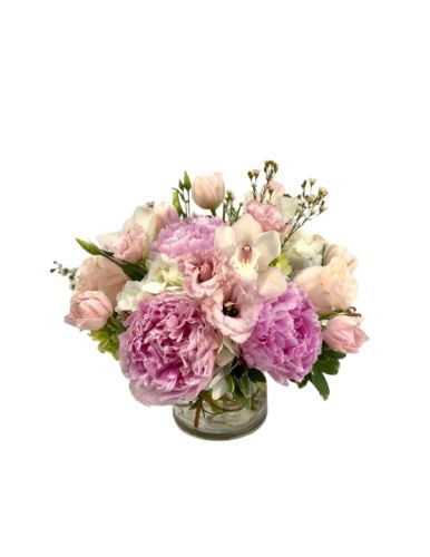 Blushing Peony