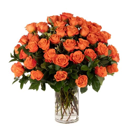 Double the Dozens 24 = 48 Orange Roses