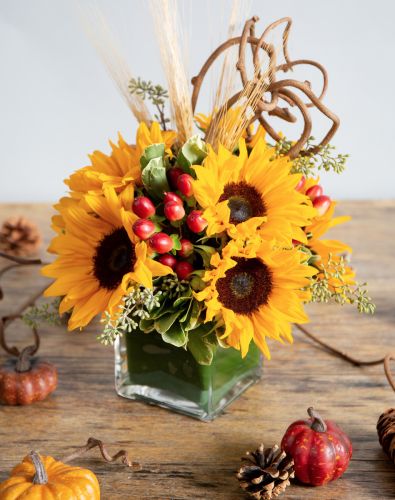 Sunflowers and Berries