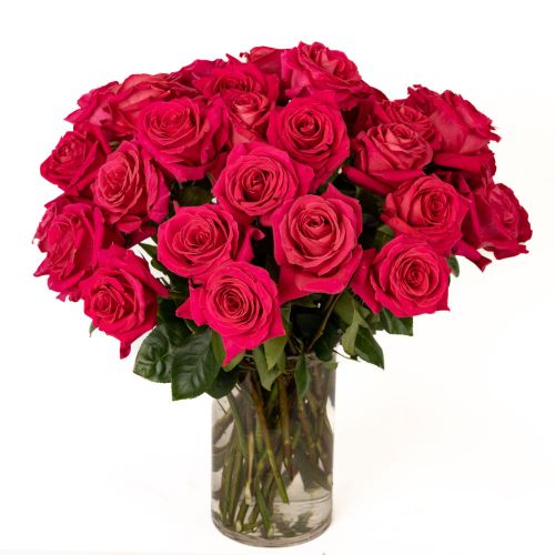 Four Dozen Hot Pink Roses 