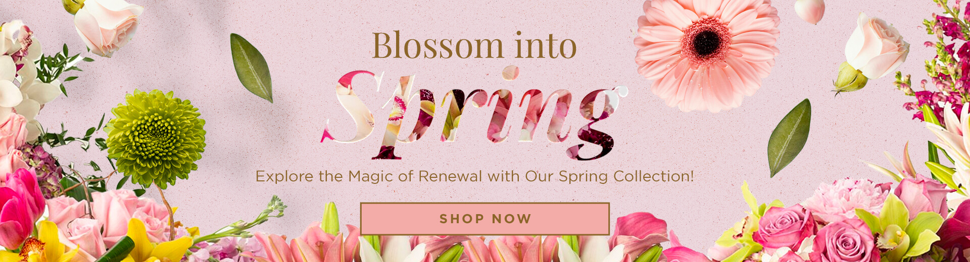 SAMEDAY Flower Delivery in Jupiter by Your Local Florist